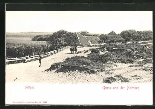 AK Ostland, Sicht auf den Ort