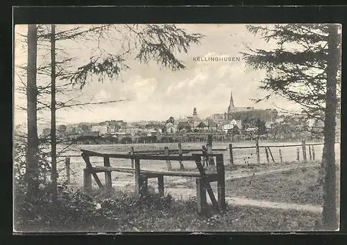 AK Kellinghusen, Schöne Aussicht auf den Ort