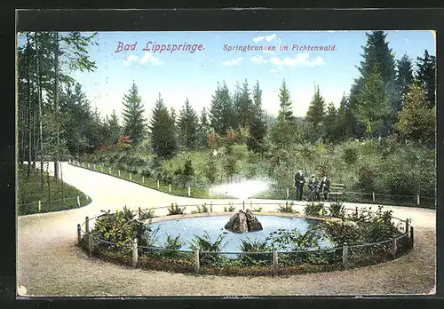 AK Bad Lippspringe, Springbrunnen im Fichtenwald