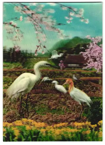 3D-AK Herons and Cherries