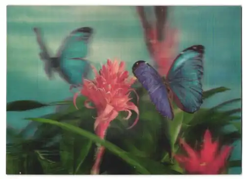 3D-AK Schmetterlinge umfliegen eine Blume