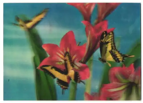 3D-AK Schmetterlinge beim anfliegen einer Blume