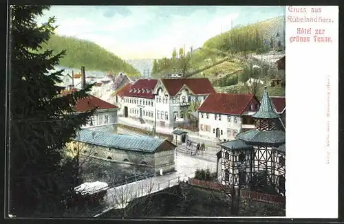 AK Rübeland / Harz, Hôtel zur grünen Tanne