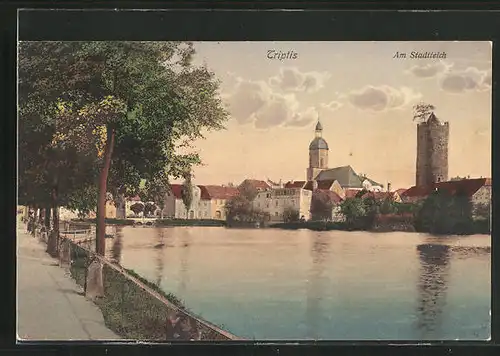 AK Triptis, Blick am Stadtteich