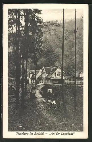 AK Treseburg i. Bodetal, Gasthaus an der Luppbode