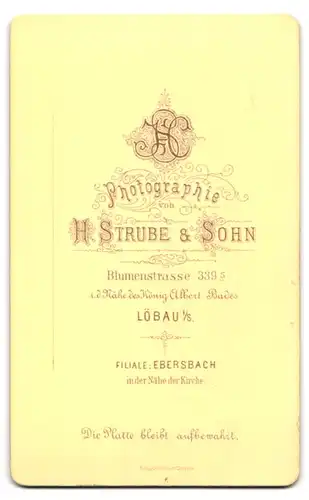 Fotografie H. Strube & Sohn, Löbau i / S., Portrait bürgerliche Dame mit Buch an Tisch gelehnt