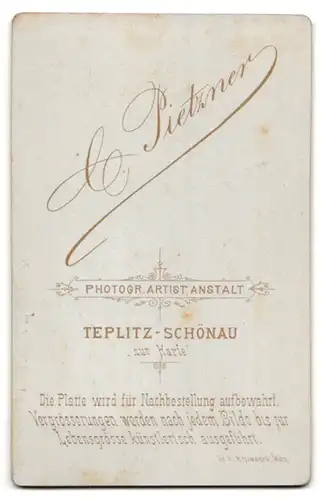 Fotografie C. Pietzner, Teplitz-Schönau, Portrait junge Dame in modischer Kleidung