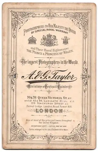 Fotografie A. & G. Taylor, London, 70 & 78 Queen Victoria St., Portrait Herr im Anzug mit Fliege und Walrossbart