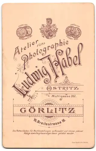Fotografie Ludwig Habel, Görlitz, Breitestrasse 16, Portrait bürgerliches Paar in eleganter Kleidung mit Buch