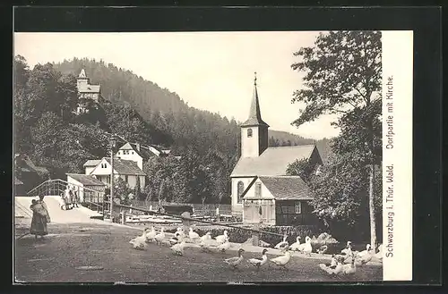 AK Schwarzburg i. Thür. Wald, Gänse auf der Dorfstrasse