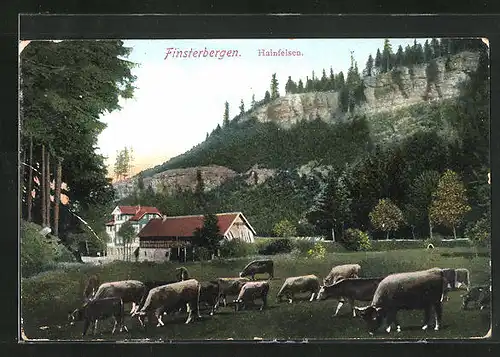 AK Finsterbergen, Hainfelsen und Rinderherde