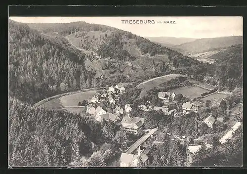 AK Treseburg im Harz, Teilansicht mit Brücke
