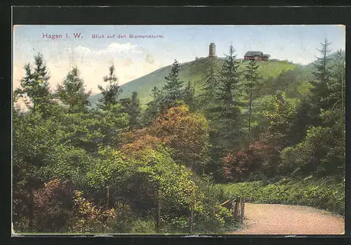 AK Hagen i. W., Waldweg mit Blick auf den Bismarck-Turm