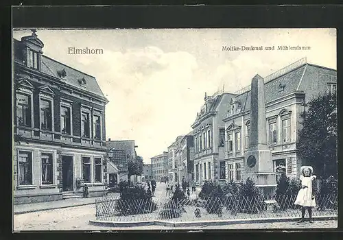 AK Elmshorn, Strasse am Mühlendamm mit Moltke-Denkmal