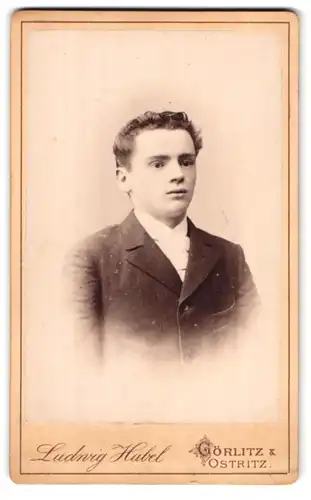 Fotografie Ludwig Habel, Görlitz, Breitestrasse 16, Junger Mann mit leicht gewelltem Haar trägt Jacke und weisses Hemd