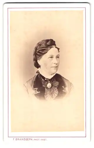 Fotografie F. Brandseph, Stuttgart, Marienstrasse 36, Portrait bürgerliche Dame mit Hochsteckfrisur