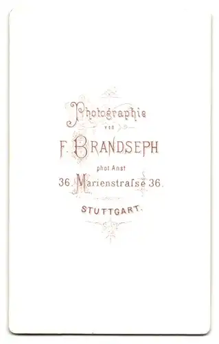 Fotografie F. Brandseph, Stuttgart, Marienstrasse 36, Portrait bürgerliche Dame mit Hochsteckfrisur