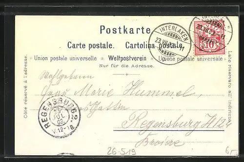 Künstler-AK C. Steinmann Nr. 2138: Interlaken mit Jungfrau