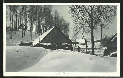 AK Plozan, Winterlich verschneites Gehöft