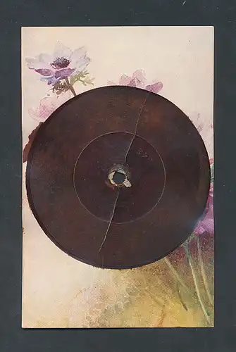 Schallplatten-AK Violette Blume mit Blattgrün