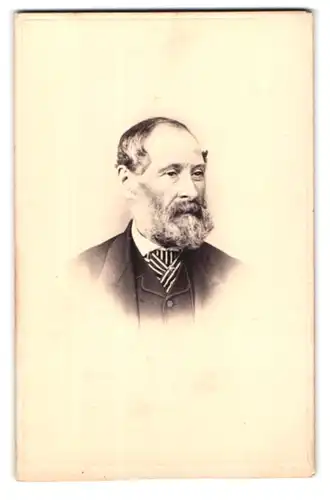Fotografie E.R. Kingsbury, London, 45 St. George S. Place, Portrait älterer Mann im Anzug mit Krawatte und Vollbart