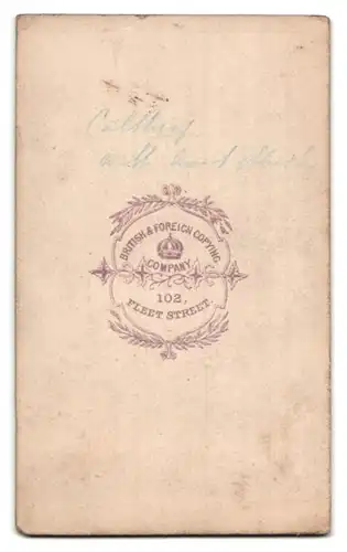 Fotografie British & Foreign Copying Co., London, 102 Fleet Street, Portrait junge Frau im Biedermeierkleid
