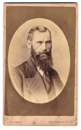 Fotografie W.V. Amey, Landport, 253 Commercial Road, Portrait Herr mit langem Vollbart im Anzug mit Krawatte