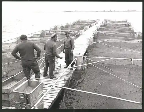 Fotografie Willy-Kurt Wittig, Fischereiarbeiter füttern Forellen einer Mastanlage in der Wismarer Bucht