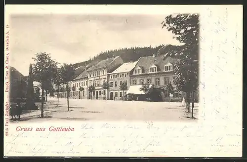 AK Gottleuba, Strassenpartie mit Geschäften und Denkmal