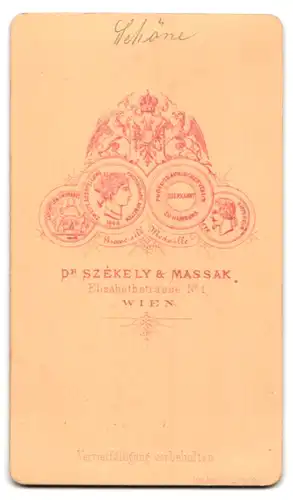 Fotografie Dr. Szekely & Massak, Wien, Elisabethstr. 1, Portrait Hermann Schöne 1836-1902, Schauspieler & Autor