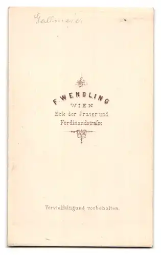 Fotografie F. Wendling, Wien, Praterstr. 10, Josefine Gallmeyer 1838-1884, Österr. Schauspielerin & Theaterdirektorin