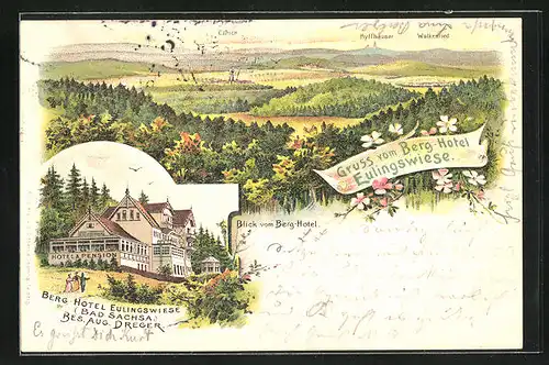 Lithographie Bad Sachsa, Hotel Eulingswiese mit Blick vom Berghotel