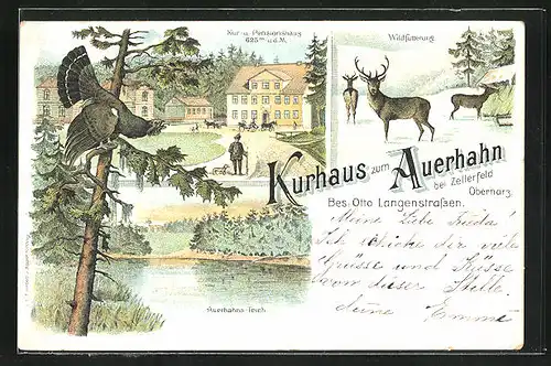 Lithographie Zellerfeld / Oberharz, Kur-Hotel Zum Auerhahn, Wildfütterung im Winter