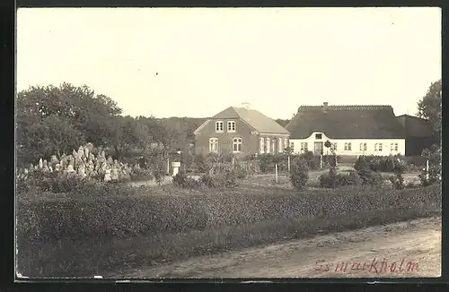 AK Esmarkholm / Schleswig, Blick auf einen Bauernhof