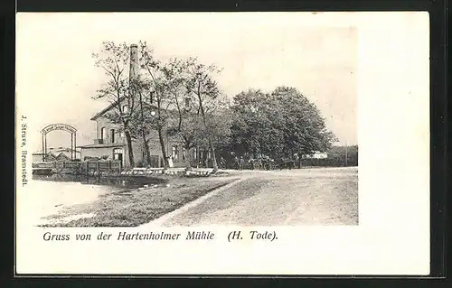 AK Hartenholm, Einfahrt zur Mühle v. H. Tode