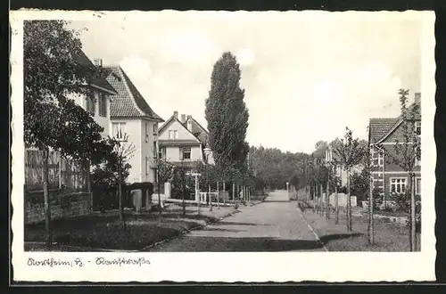 AK Northeim, Raustrasse mit Wohnhäusern