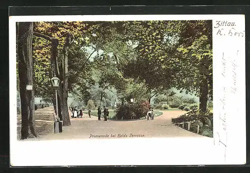 AK Zittau i. Sa., Promenade bei Helds Terrasse