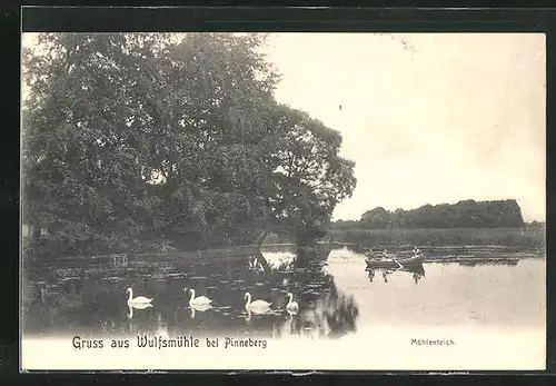 AK Wulfsmühle b. Pinneberg, Ruderboot und Schwäne auf dem Mühlenteich