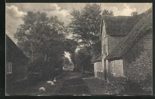 AK Boldixum a. Föhr, Dorfstrasse und Häuser