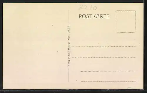 AK Boldixum a. Föhr, Dorfstrasse und Häuser