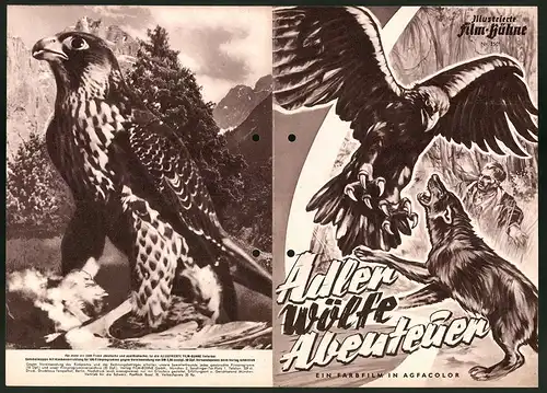 Filmprogramm IFB Nr. 2501, Adler Wölfe Abenteuer, Regie: Dr. Istvan Homoki-Nagy, Naturdokumentation