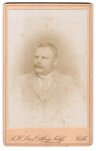 Fotografie A. H. Louis Oetting Nachfolger, Celle, Mauernstrasse 35, Portrait breiter Herr zur Seite schauend