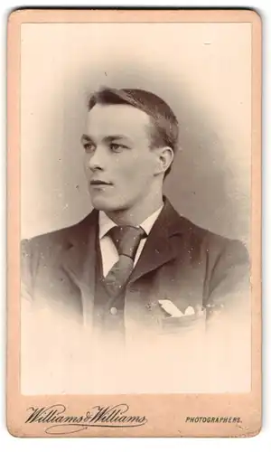 Fotografie Williams & Williams, Swansea, 208 a High St., Portrait stattlicher Herr im Anzug mit Krawatte