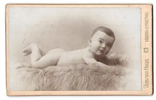 Fotografie Volkmar Högel, Leipzig-Lindenau, Wettinerstrasse 43, Portrait nackiges Baby bäuchlings auf Fell liegend