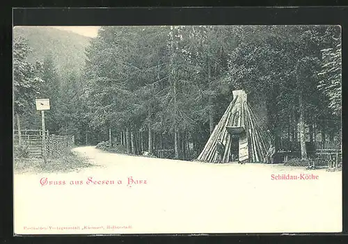 AK Seesen a. Harz, Schildau-Köthe, Forstwirtschaft