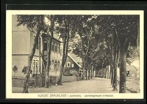 AK Braunlage i. Oberharz, Lauterberger-Strasse mit Häusern