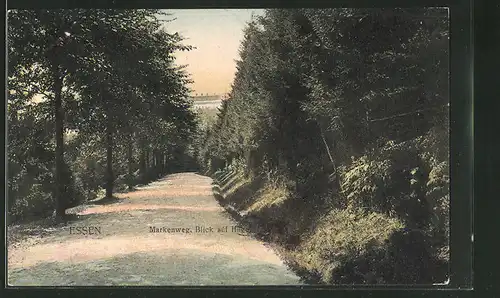 AK Essen / Ruhr, Blick die Allee entlang zum Schloss