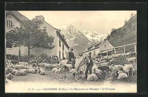 AK Gavarnie, le Départ pour la Montagne, le Groupage