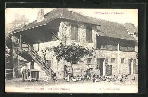 AK Tarbes, Plaine, Une Ferme d'élevage