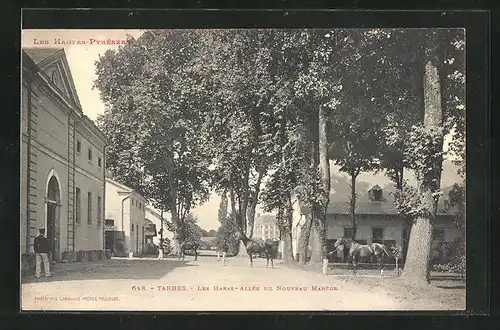 AK Tarbes, les Haras-Allée du Nouveau Manege